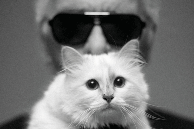 Choupette是誰?它就是時尚掌舵人Karl Lagerfeld的愛貓,更可能是寵物界中第一個百萬富翁,別小看這只小貓咪,Choupette這只貓科界的傳奇不時客串廣告代言人,去年在德國汽車公司和日本化妝品牌兩個廣告中亮相,便成功賺了三百萬歐,Karl 透露 Choupette唯一不能參與的是食物廣告,原因竟是它在食方面太有品味了,果然是非一般的貓咪!Karl還把它與演藝女王Greta Garbo相提並論,那份藏在動靜之間的優雅態度令他深深著迷,Choupette不但名利雙收,還得到時尚界教主的一片鐘